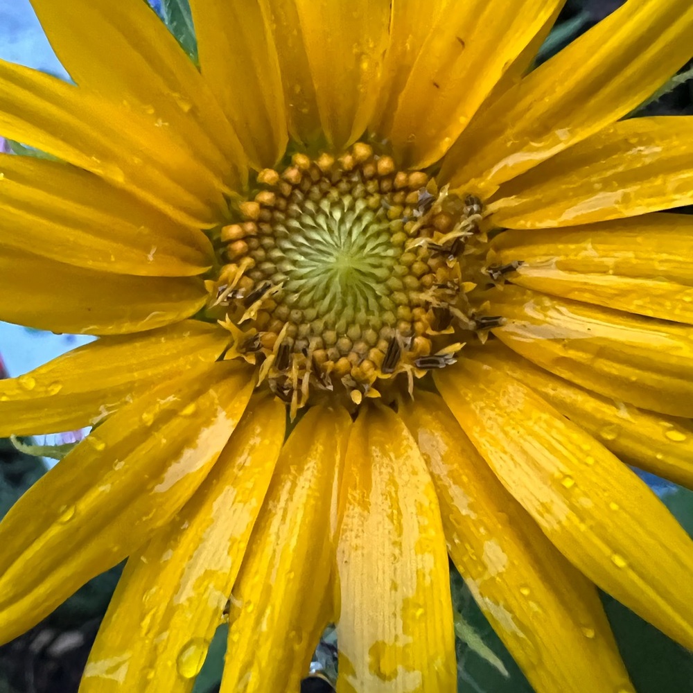 Meet your Posher, Mary-louise